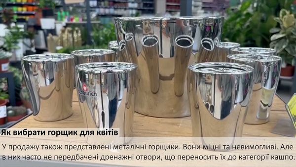 Як правильно вибрати горщик або саджалку для рослини Як правильно вибрати горщик або саджалку для рослини