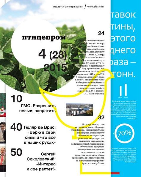 Можно ли есть остатки вареных яиц? Вот что говорит Министерство сельского хозяйства США