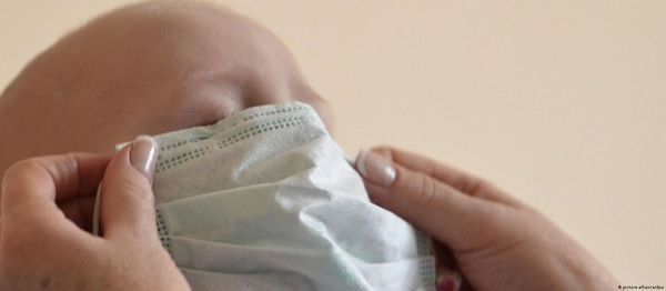 Бешенство и лихорадка денге: одно в Непале, другое в Индонезии. Как выжить?