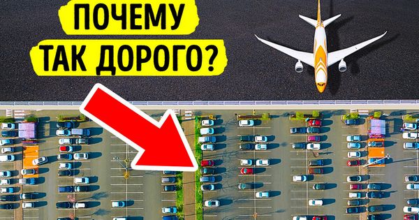Мы задали самые неудобные вопросы аэропорту Дебрецена! Дорогая парковка, маленький терминал, мало персонала!