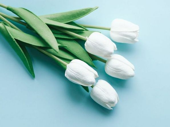 Стихи ко Дню матери, которые заставят маму смеяться и плакать