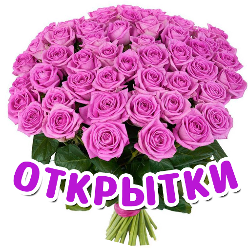Музыкальные открытки: милое поздравление на любой случай в жизни